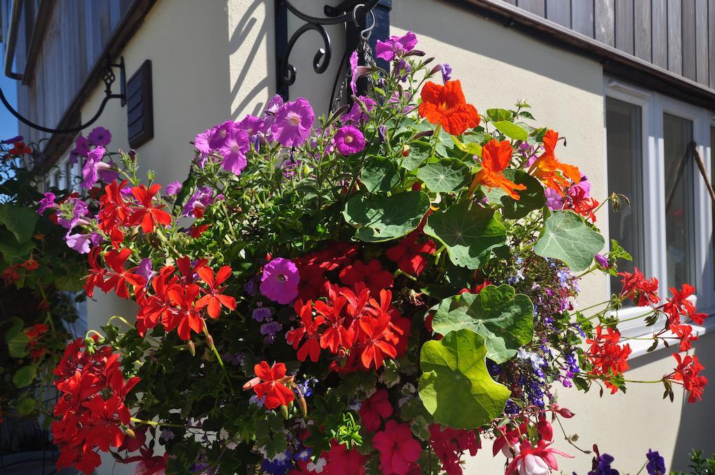 The Bosham B&B 외부 사진